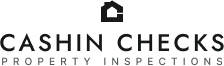 Cashin Check Logo